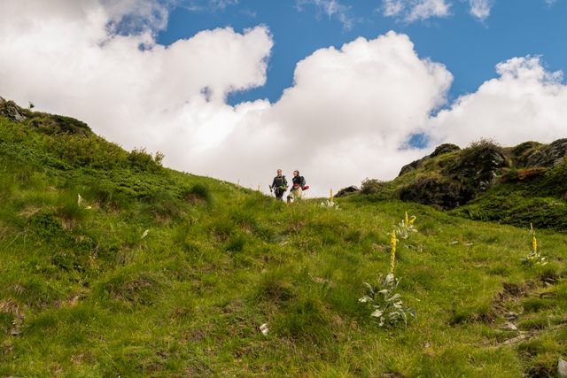 Ние в Балкана