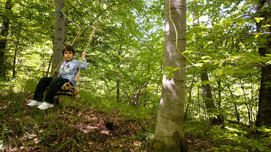 Парк на предизвикателствата Дендрариум