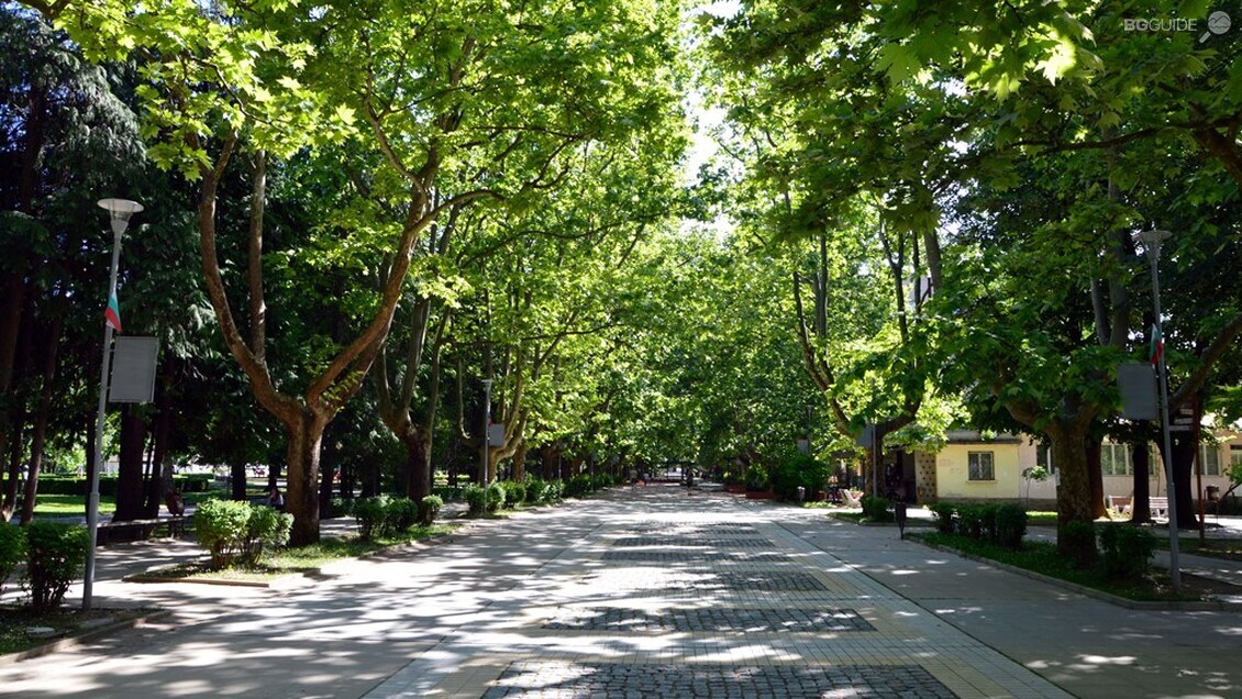 Алеята с чинарите