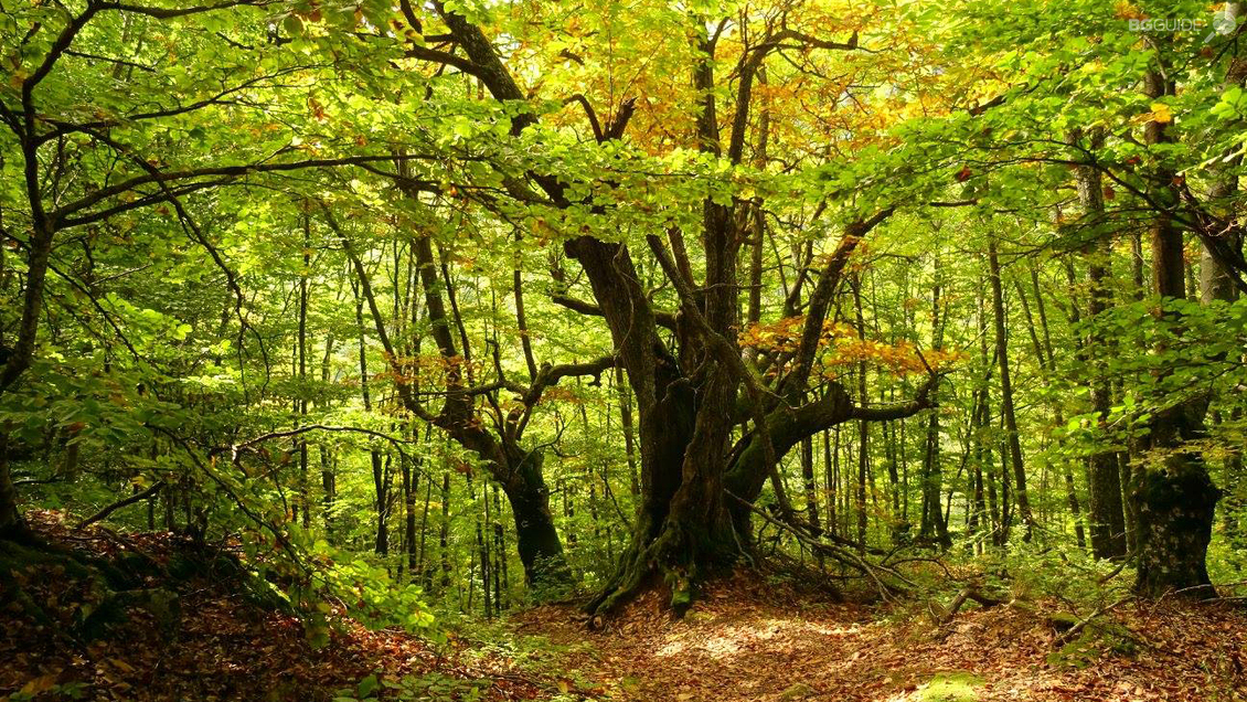 Природен парк "Беласица"