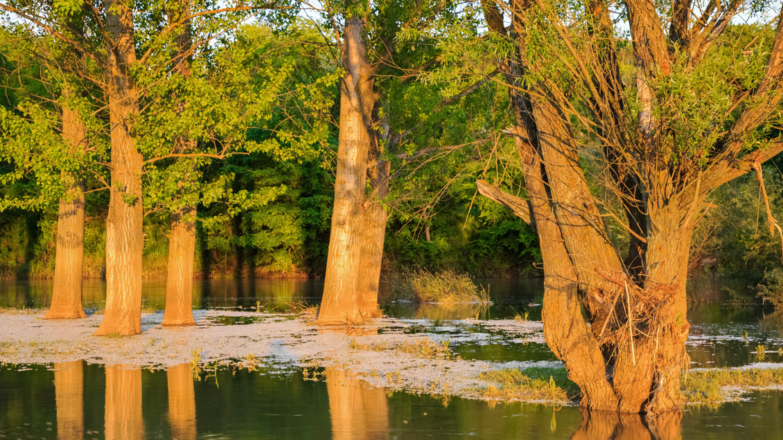 река Огоста