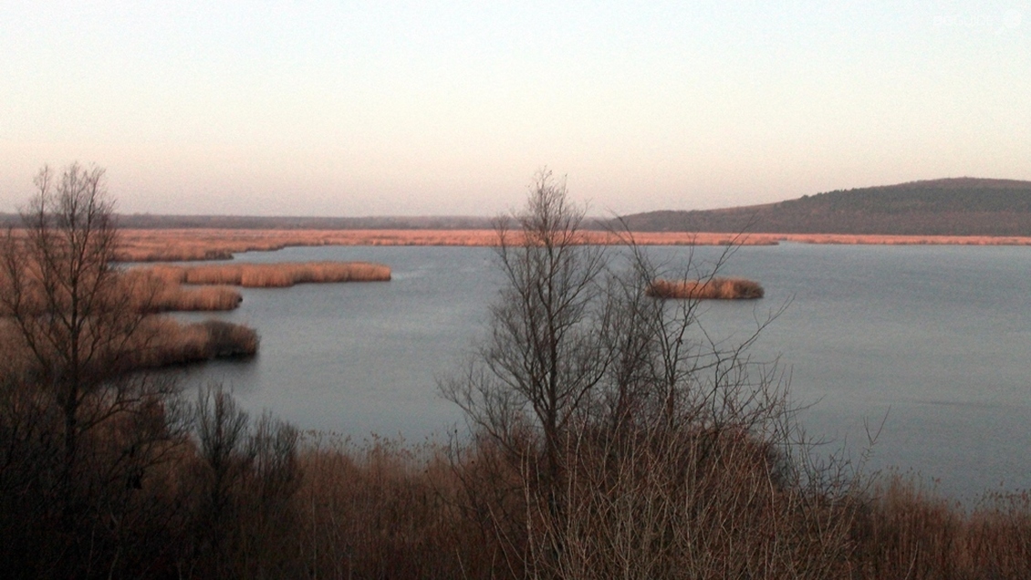 Резерват "Сребърна"