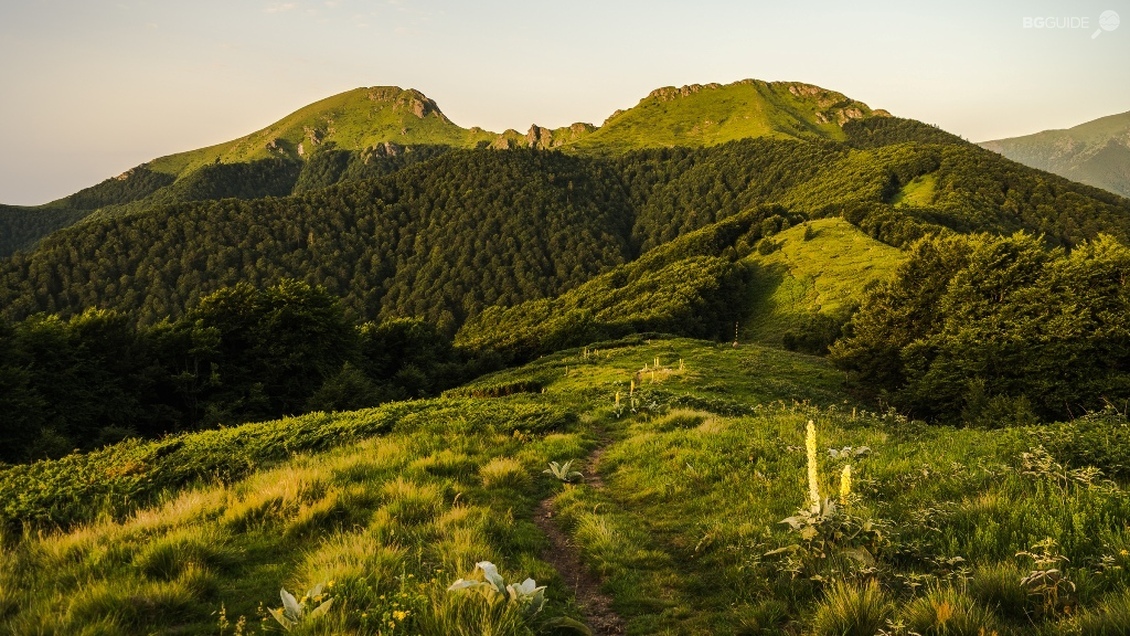 Връх Юмрука