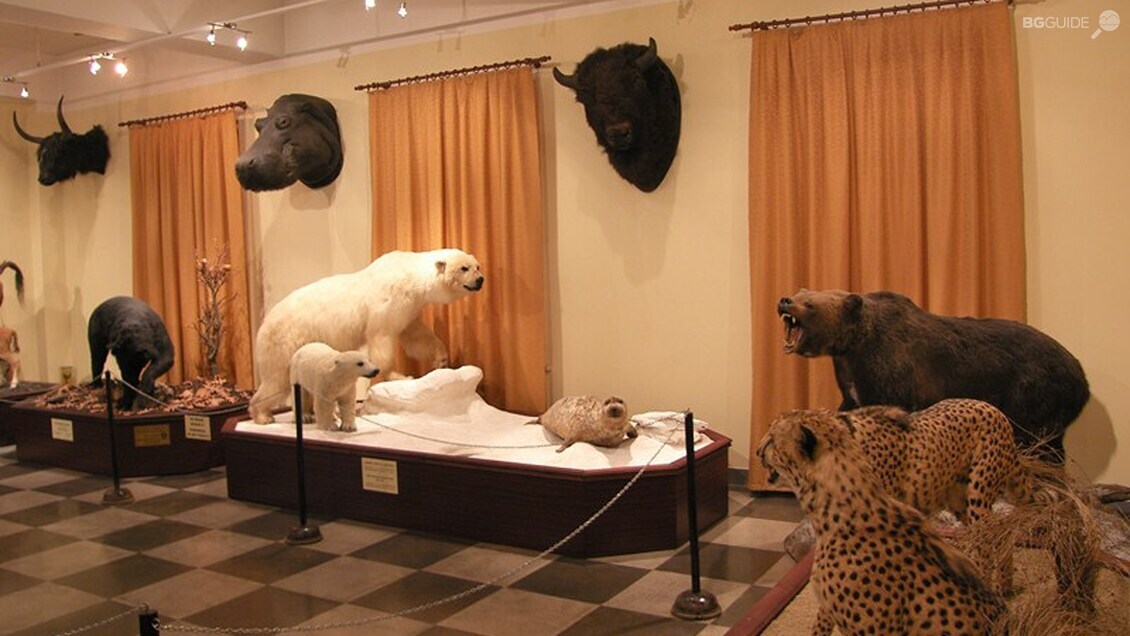 Национален природонаучен музей