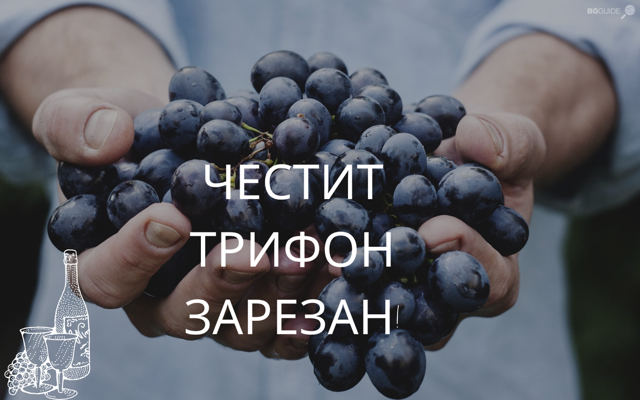 purple-grapes-facebook-cover-1_1306x818_crop_79d4048cf6