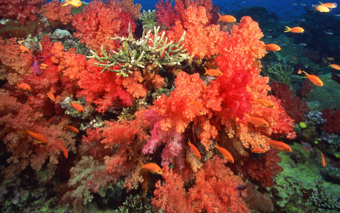 slide2_1306x818_crop_614867a554