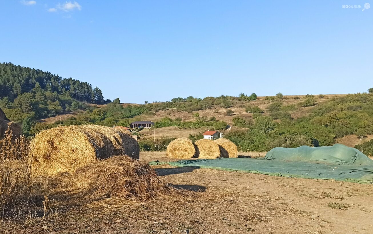 1696506626582-scaled_1306x818_crop_fd08fa3edf