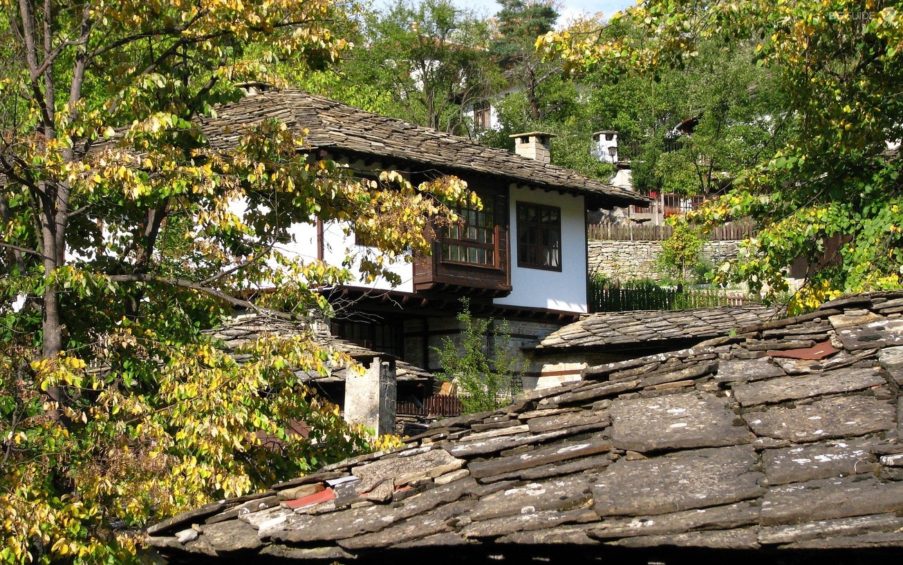 rural-star-growth_1306x818_crop_6f233d1601