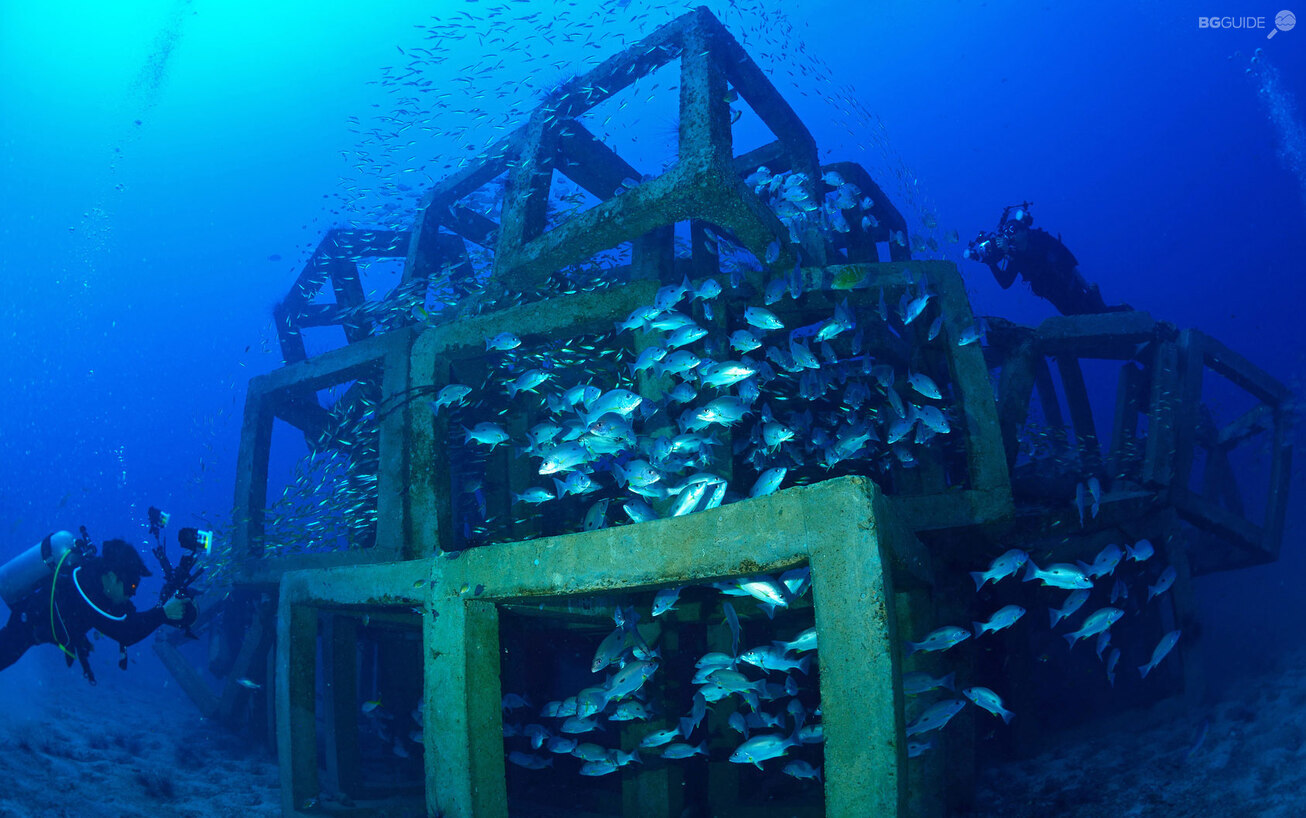 slide1_1306x818_crop_8b7ba17dc6