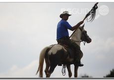 zarko1_230x161_crop_66d5fde511