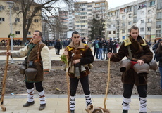 dsc-0039_230x161_crop_89586cde46