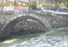 gaidarsko-nadsvirvane_230x161_crop_cfd07967d8