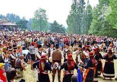 gaidarsko-nadsvirvane_230x161_crop_314051be38