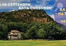 shake-that_230x161_crop_82d3bc369a