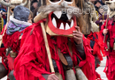 surva_230x161_crop_f0cf34c448