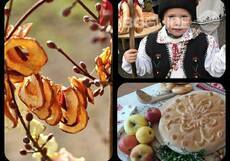 survachki_230x161_crop_d55d1b0e80