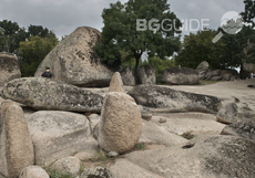 dsc-2917-2_230x161_crop_e0783a38fc