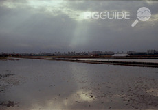 burgaski-solnitsi_230x161_crop_0f6d71a07f