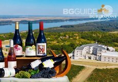 burgozone-2_230x161_crop_2fe7a21852