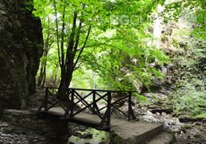 ekopateka-1_230x161_crop_9f3c1e89f2