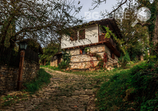 mg-8168_230x161_crop_daef766dbc