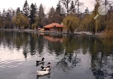 kleptuza_230x161_crop_e67ccff1aa