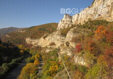 lakatnishkite-skali-1_230x161_crop_625ab6cd08