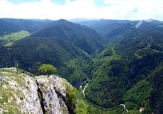 orlovo-oko-mihail-tomov_230x161_crop_c59bbef2f7