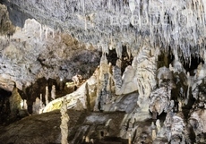 snezhanka-m-yanakiev2_230x161_crop_02c7ad7b80