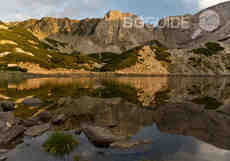 dsc-1215_230x161_crop_33ba1cb4c6