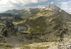 dsc-1147_230x161_crop_734bcb2601