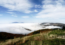 ot-vrah-gerdek-tepe-pg_230x161_crop_7c4e3bfc55