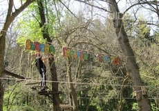 baba-yaga_230x161_crop_bae42a4754