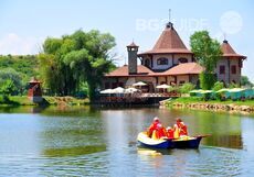 melnicite_230x161_crop_592ba2dd55