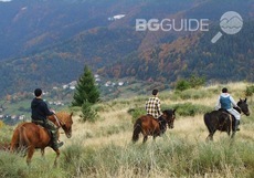 adv23_230x161_crop_54063ca85f