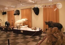 nac-pripodonauch-muzei_230x161_crop_55b28a5b2f