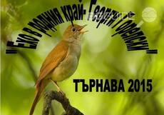 tarnava_230x161_crop_488490874d