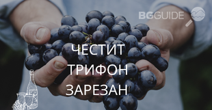 purple-grapes-facebook-cover-1_310x161_crop_79d4048cf6