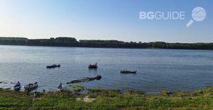 4_310x161_crop_250d1c19b3