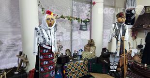 8_310x161_crop_3e03ed8a1a