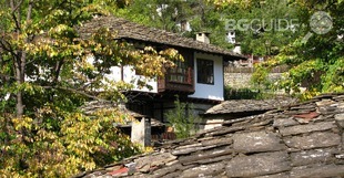 rural-star-growth_310x161_crop_6f233d1601