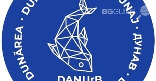 2_310x161_crop_9869705aca