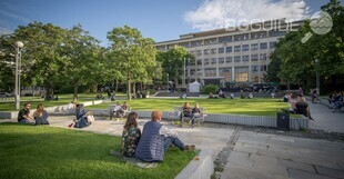 slovac-university-of-technology-in-bratislava_310x161_crop_12ff587c23