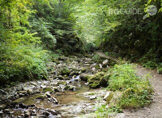 ekopateka_325x236_crop_89fce4fb9b