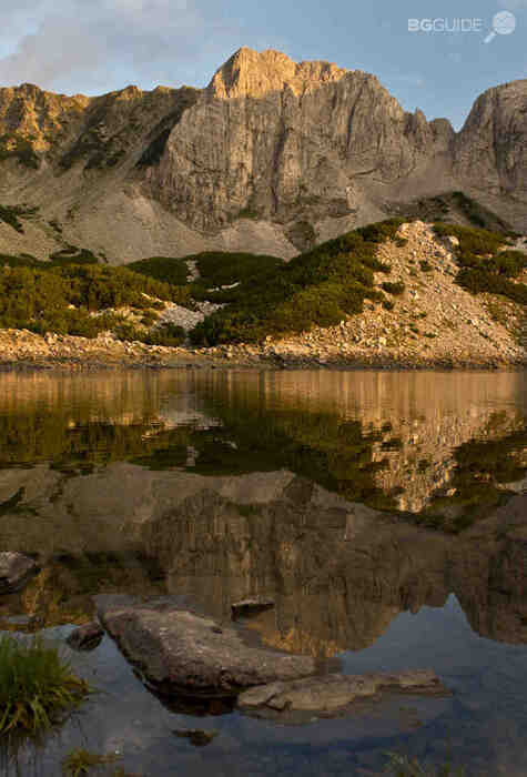 dsc-1215_475x700_crop_33ba1cb4c6